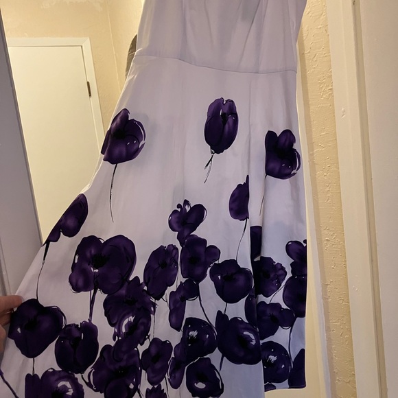 APNY - Picture 2 of 4